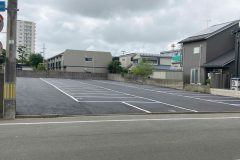 亀P写真2